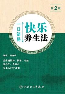 迪克南舰队