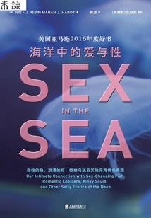 爱情始于偶遇