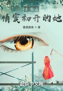 抗战之天府精英