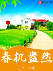 星泱圣镜