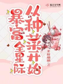 乌簪