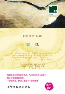 重生之灵魂尽头