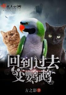 极品花皇在都市