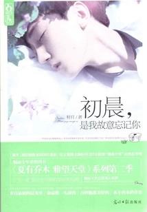 绝恋大将军王——清穿