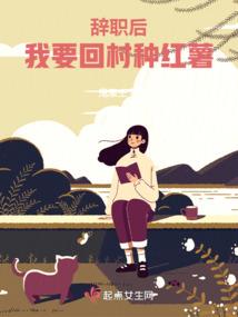 飞翔之羽