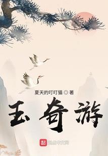 回望金阳