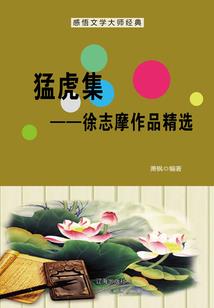 四大神兽之白虎传
