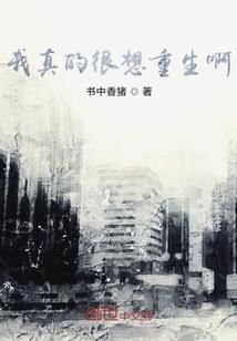 陆小九的日记簿