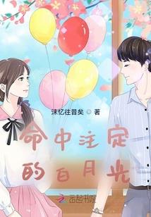 倾心独恋你