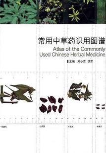 那年那月那些光棍