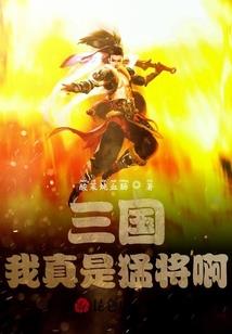 三国之现代乱斗
