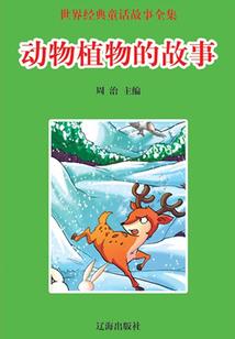 一身男装行天下