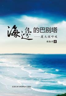 海贼之风雨历程