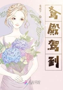 空姐飞哪儿去了