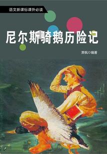 祖冲之传人