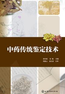 破天地游记