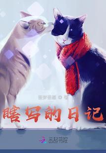 倾城少女，天才重生