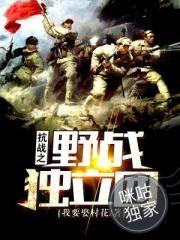 一梦又三国