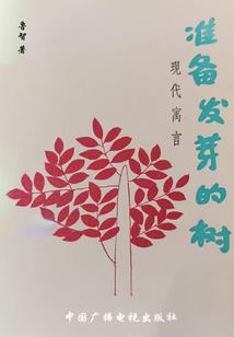 冲突启动