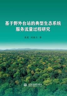 假面骑士之风都暗影