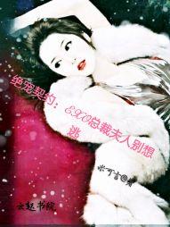 桃花缘记之柳暗花明