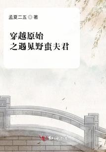 维鲁特：最后的先知