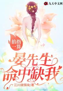 追寻的彼岸
