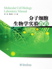 愿拥你——伴