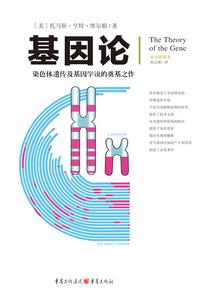 重生：女神网恋对象居然是我？