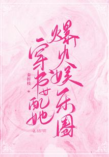 专宠小蛮妃
