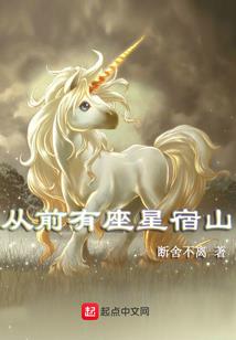 妖孽总裁的冷女保镖