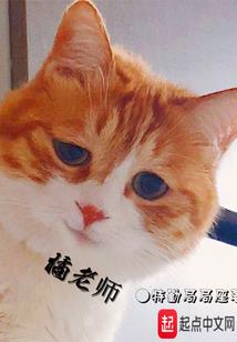 蜗居女孩的世界