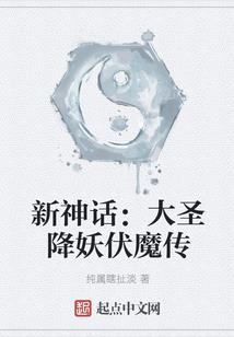 圣元奇域