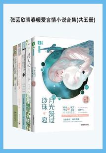 飞灵传