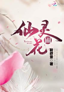 夺天之仙