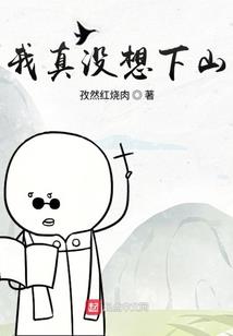 王子的拽丫头