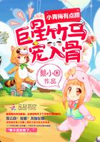 你好玛丽苏大人