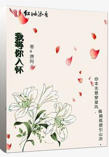 杨严的精彩人生