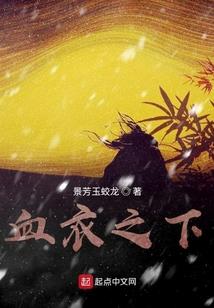 吾道武道