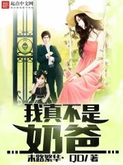 高达之乱斗的世界