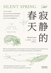 凰倾苍穹之王妃欠收拾
