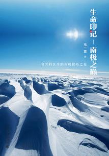 命运的轮回首夜