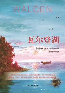 长宫令