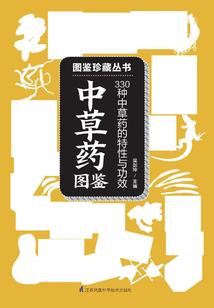 齿轮儿