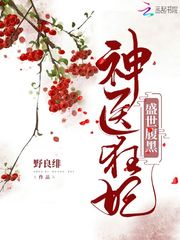 星龙圣使