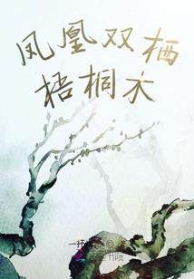 南方有座风之墙