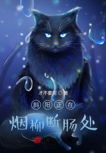 大宋朝的妙人们