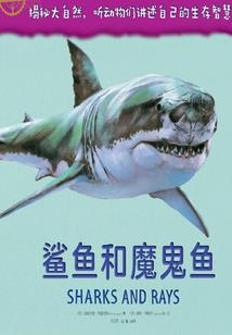 只手乾坤
