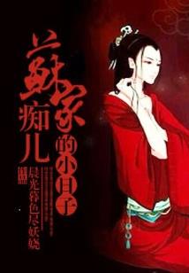 一本正经的书