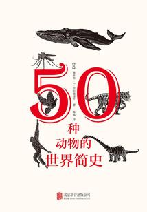 至尊修仙升级系统